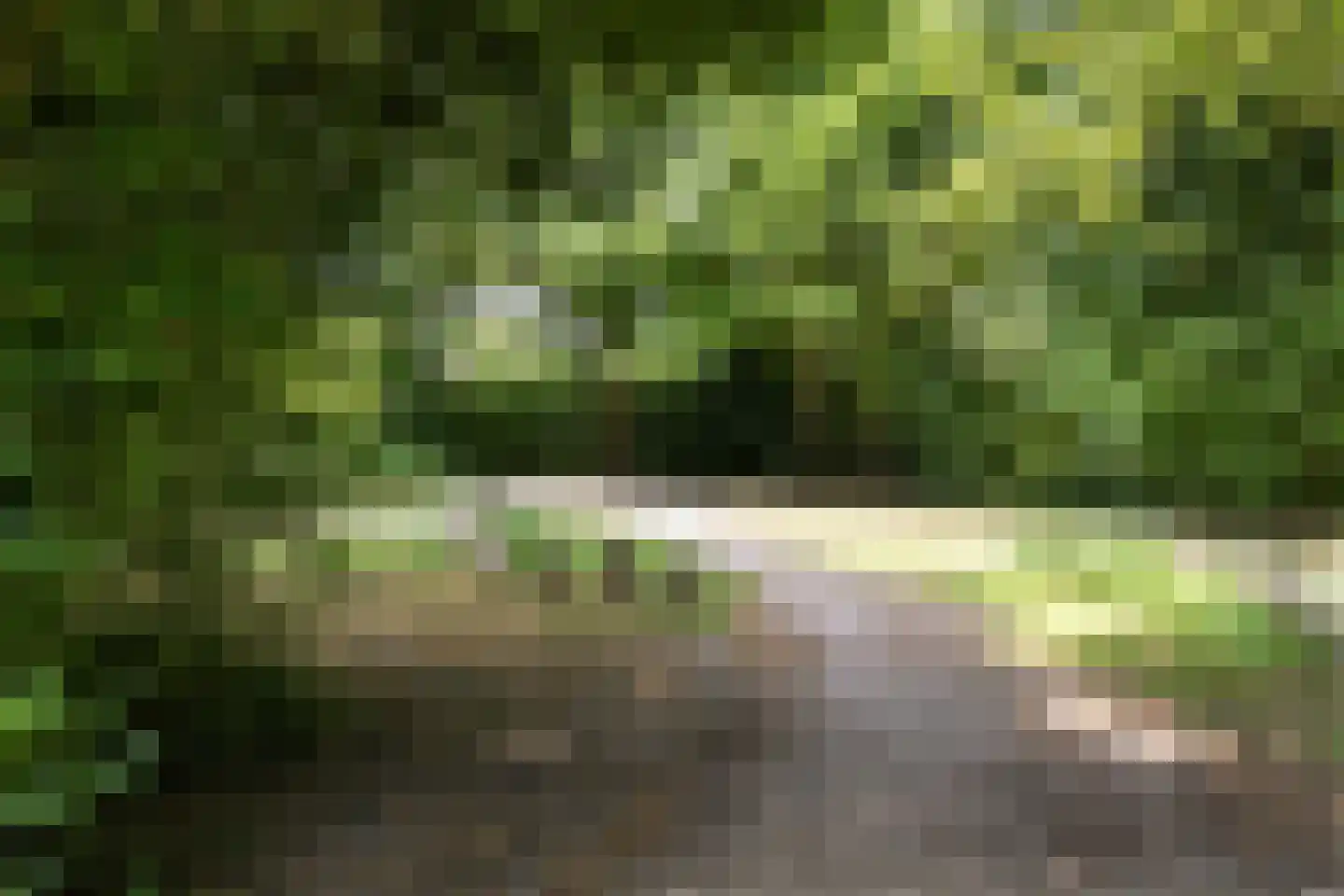 Rembrandtlaan 92 Woudenberg thumbnail 40
