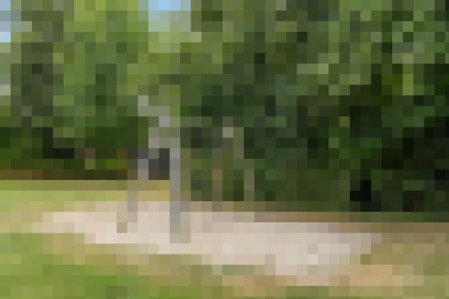 Rembrandtlaan 92 Woudenberg thumbnail 41
