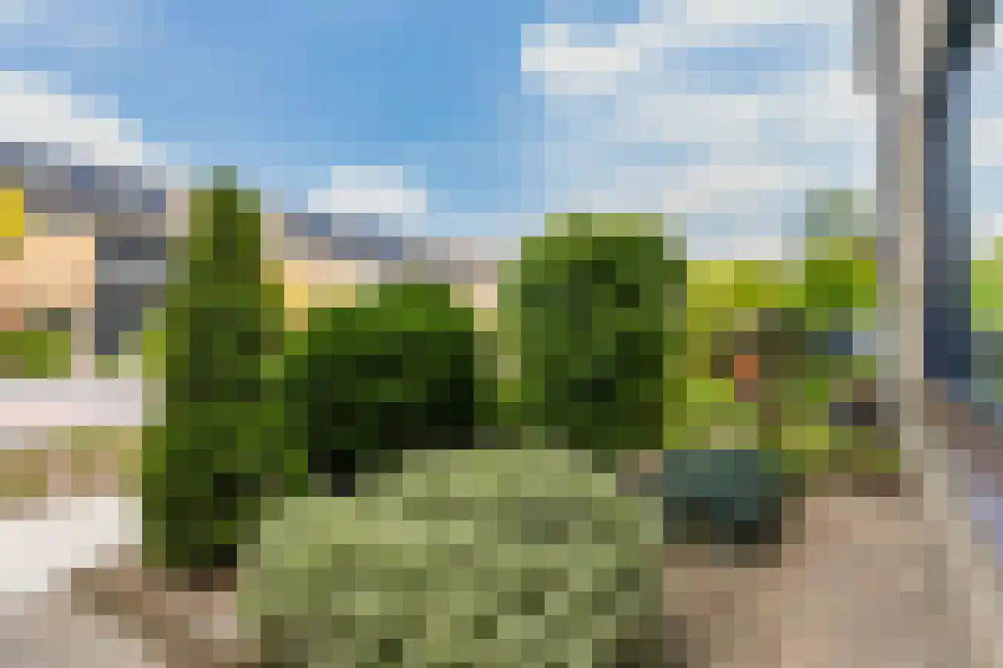 Rembrandtlaan 92 Woudenberg thumbnail 7