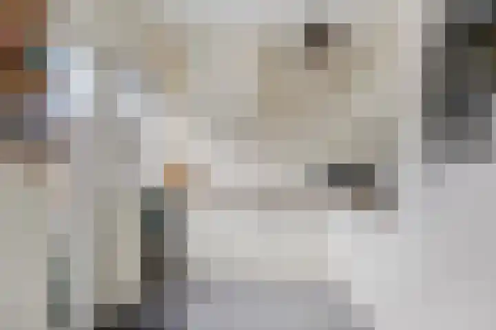 Rembrandtlaan 94 Woudenberg thumbnail 11