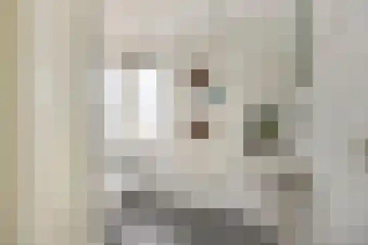 Rembrandtlaan 94 Woudenberg thumbnail 17