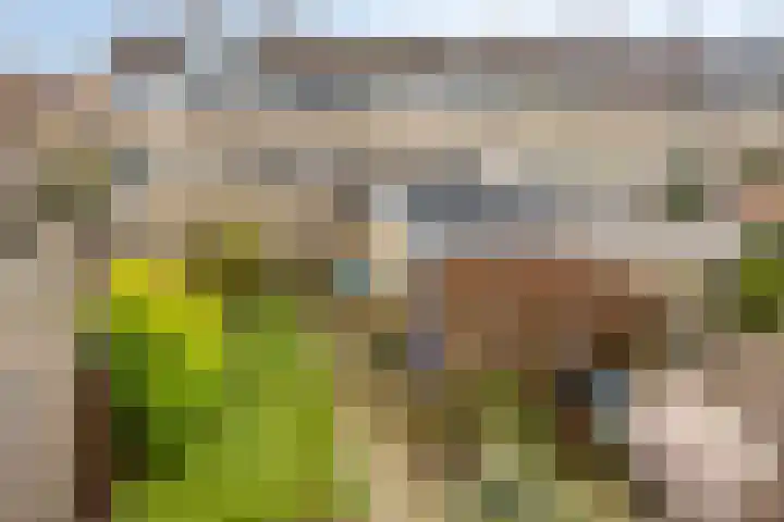 Rembrandtlaan 94 Woudenberg thumbnail 26