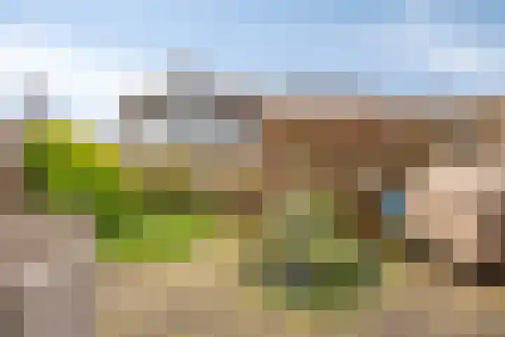 Rembrandtlaan 94 Woudenberg thumbnail 28