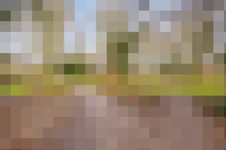Rembrandtlaan 94 Woudenberg thumbnail 31
