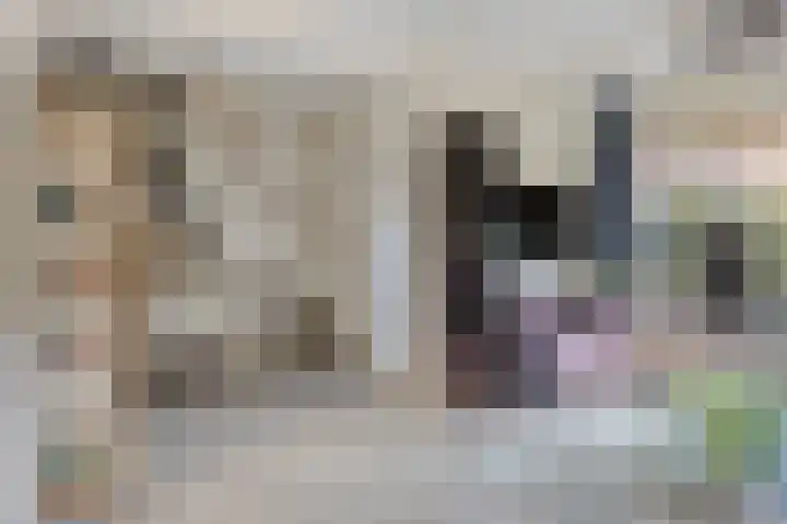 Rembrandtlaan 94 Woudenberg thumbnail 7