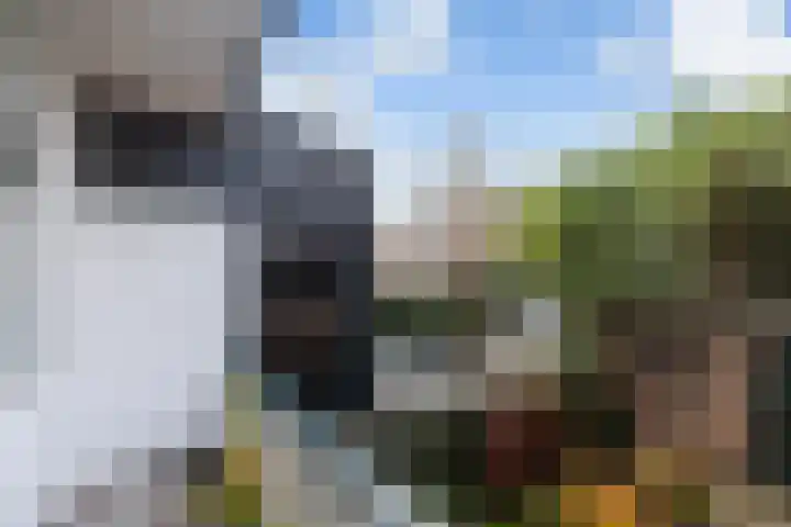Rembrandtlaan 99 A Schiedam thumbnail 13