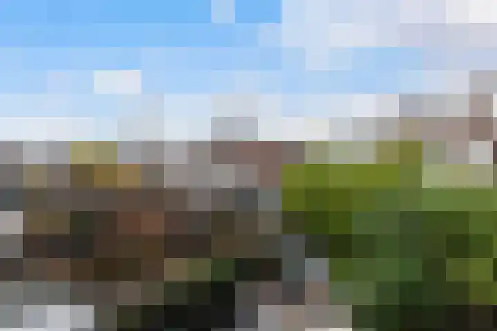 Rembrandtlaan 99 A Schiedam thumbnail 21