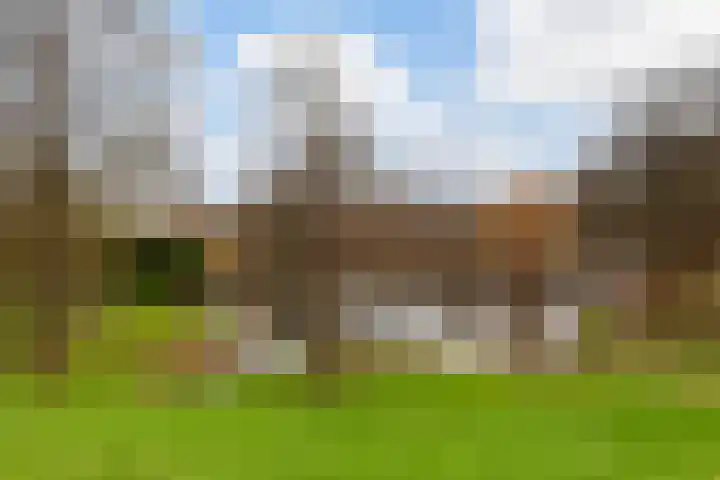 Rembrandtlaan 99 A Schiedam thumbnail 36