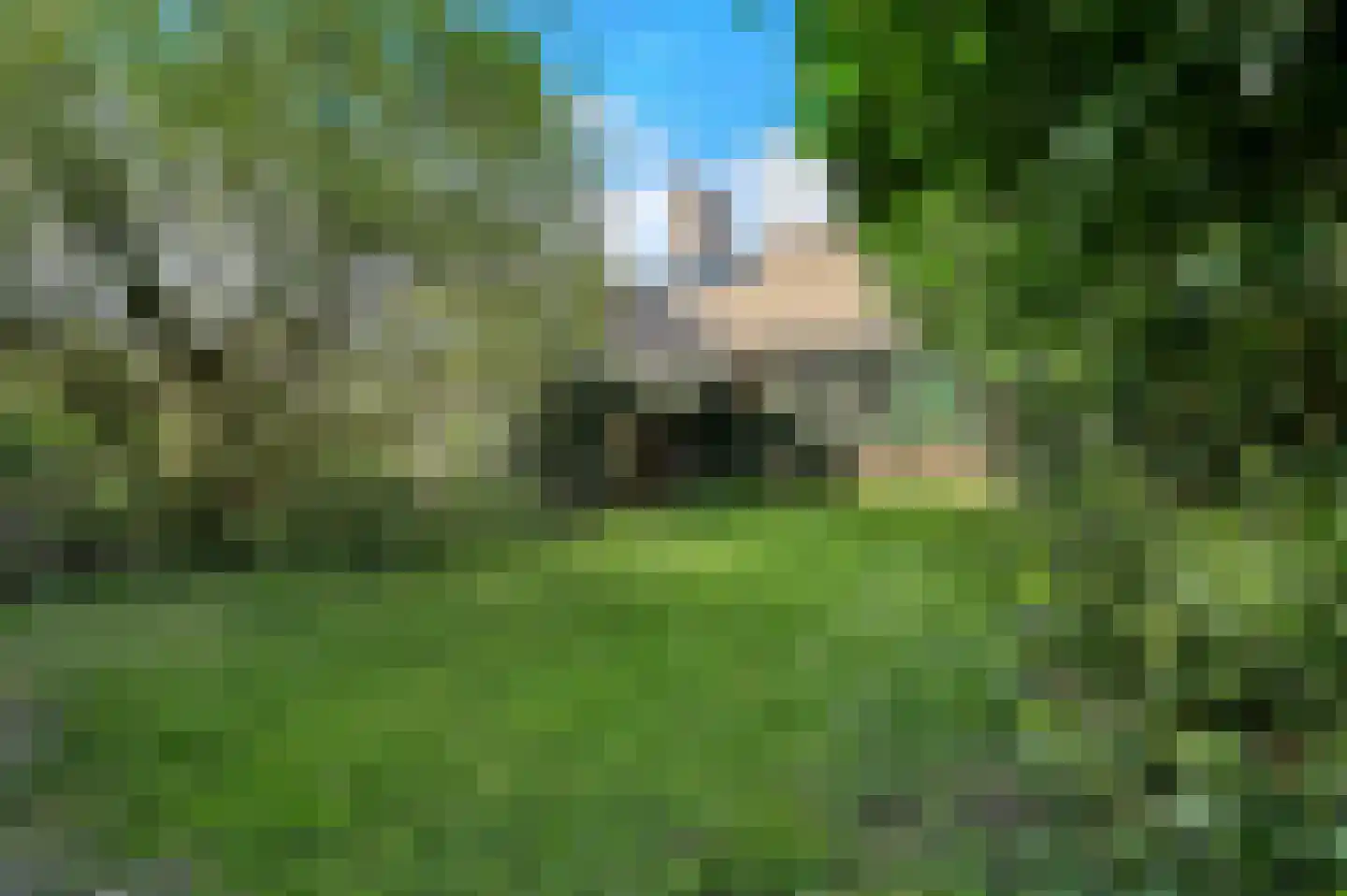 Rembrandtlaan 99 Voorburg thumbnail 14