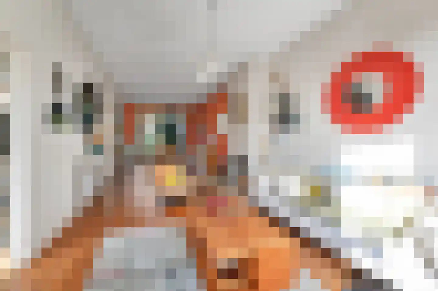 Rembrandtlaan 99 Voorburg thumbnail 17