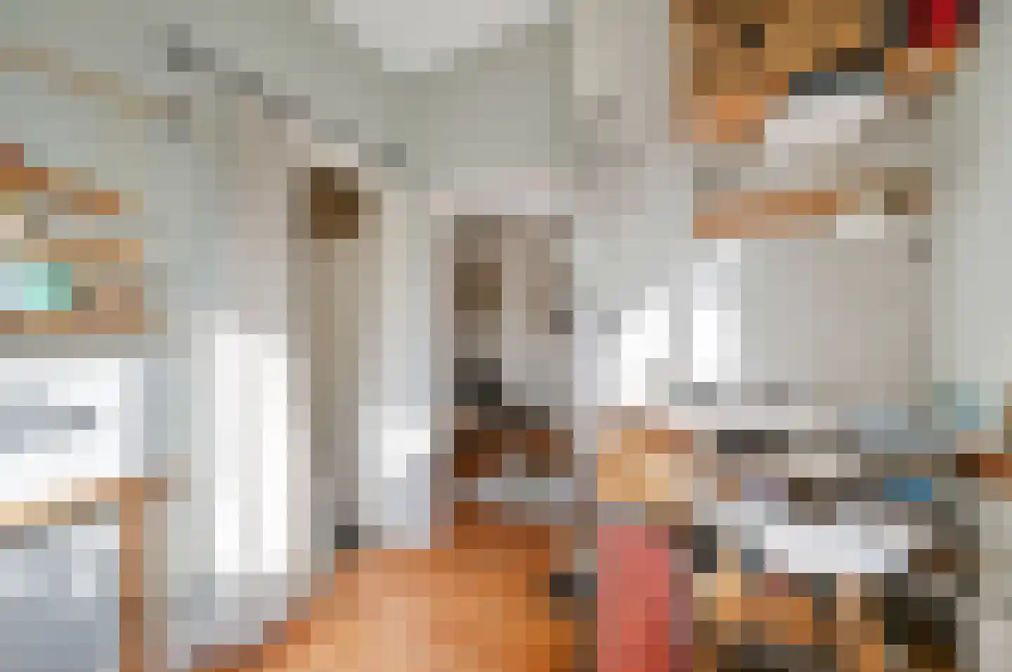 Rembrandtlaan 99 Voorburg thumbnail 24