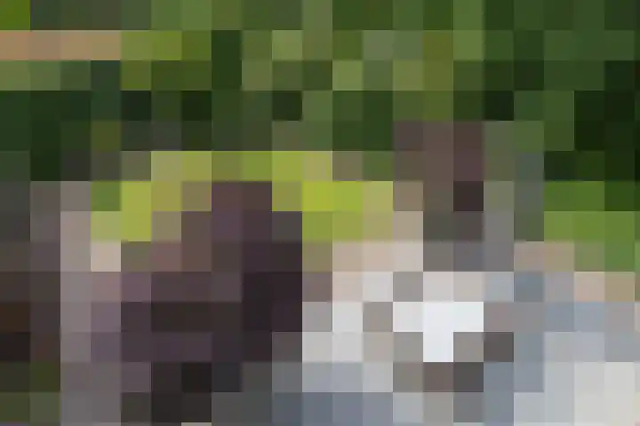 Rembrandtplein 17 Bilthoven thumbnail 29
