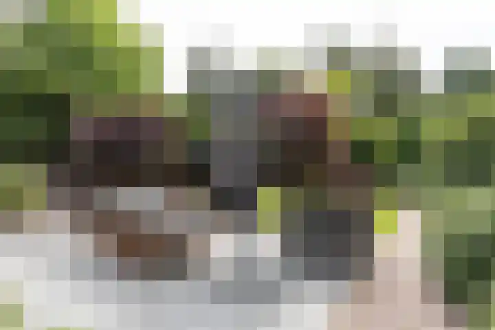 Rembrandtplein 17 Bilthoven thumbnail 58