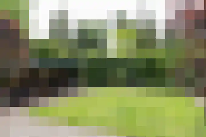 Rembrandtplein 17 Bilthoven thumbnail 60