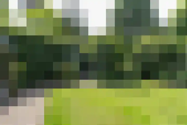 Rembrandtplein 17 Bilthoven thumbnail 62