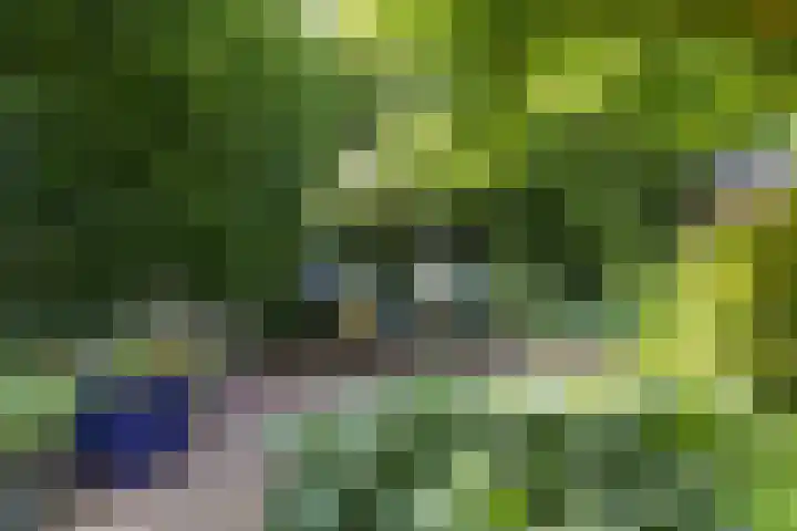 Rembrandtplein 17 Bilthoven thumbnail 63