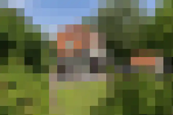 Rembrandtplein 17 Bilthoven thumbnail 64