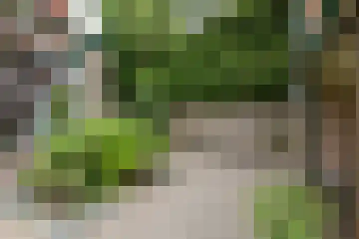 Rembrandtplein 17 Bilthoven thumbnail 67