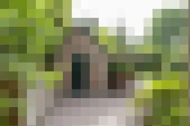 Rembrandtplein 17 Bilthoven thumbnail 68