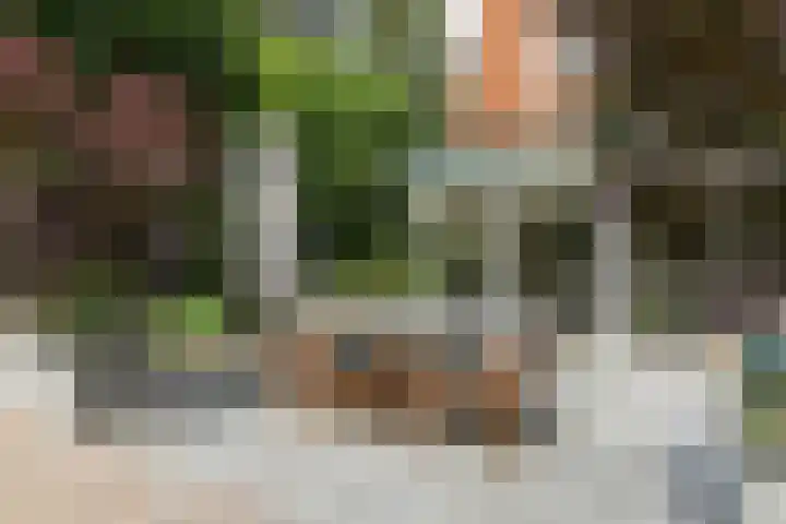 Rembrandtplein 17 Bilthoven thumbnail 69