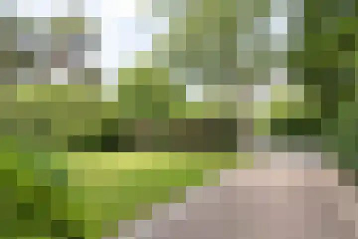 Rembrandtplein 17 Bilthoven thumbnail 74