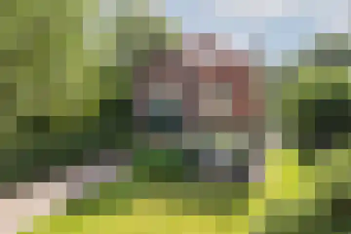 Rembrandtplein 17 Bilthoven thumbnail 76