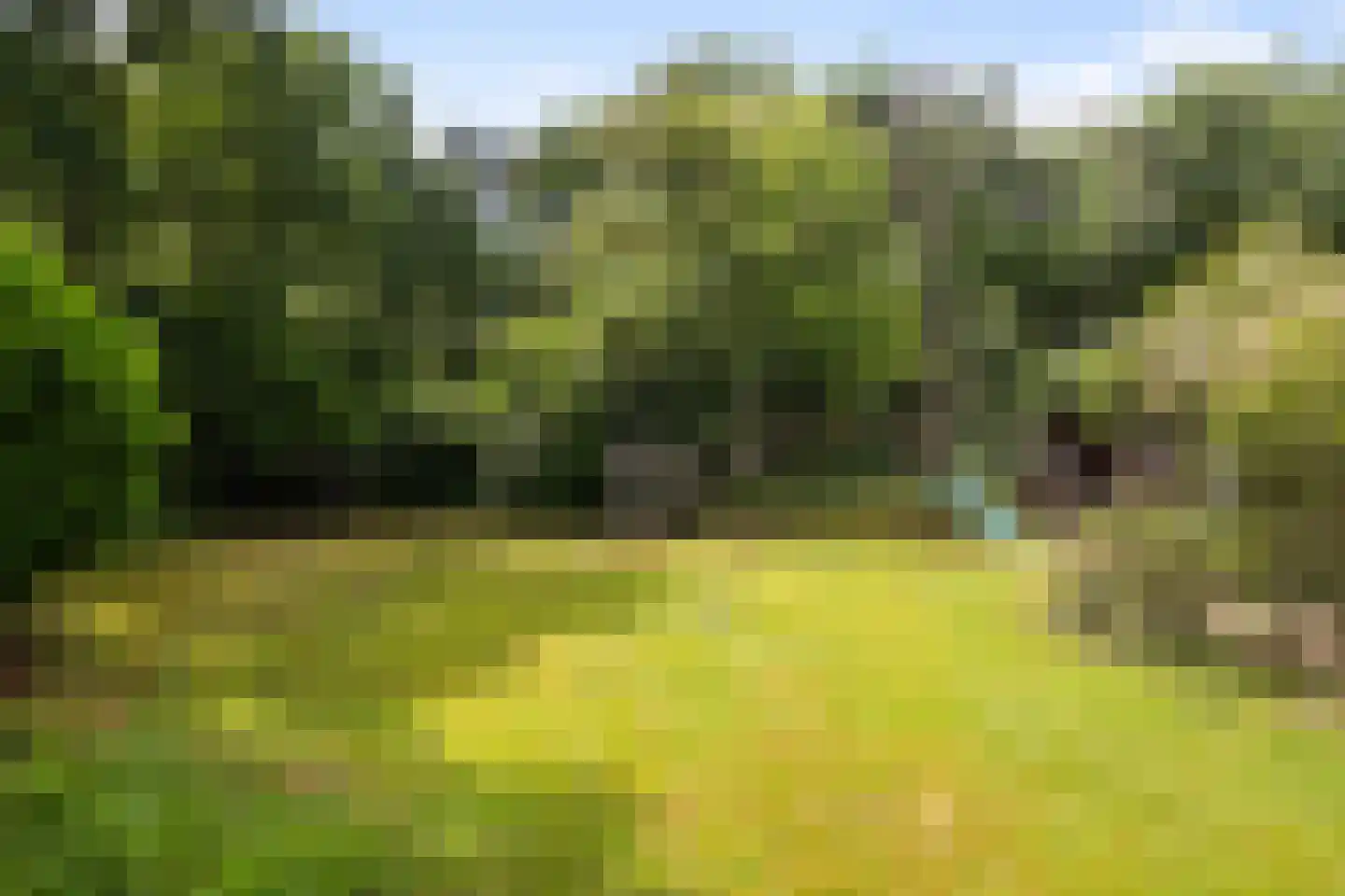 Rembrandtplein 3 Bilthoven thumbnail 28