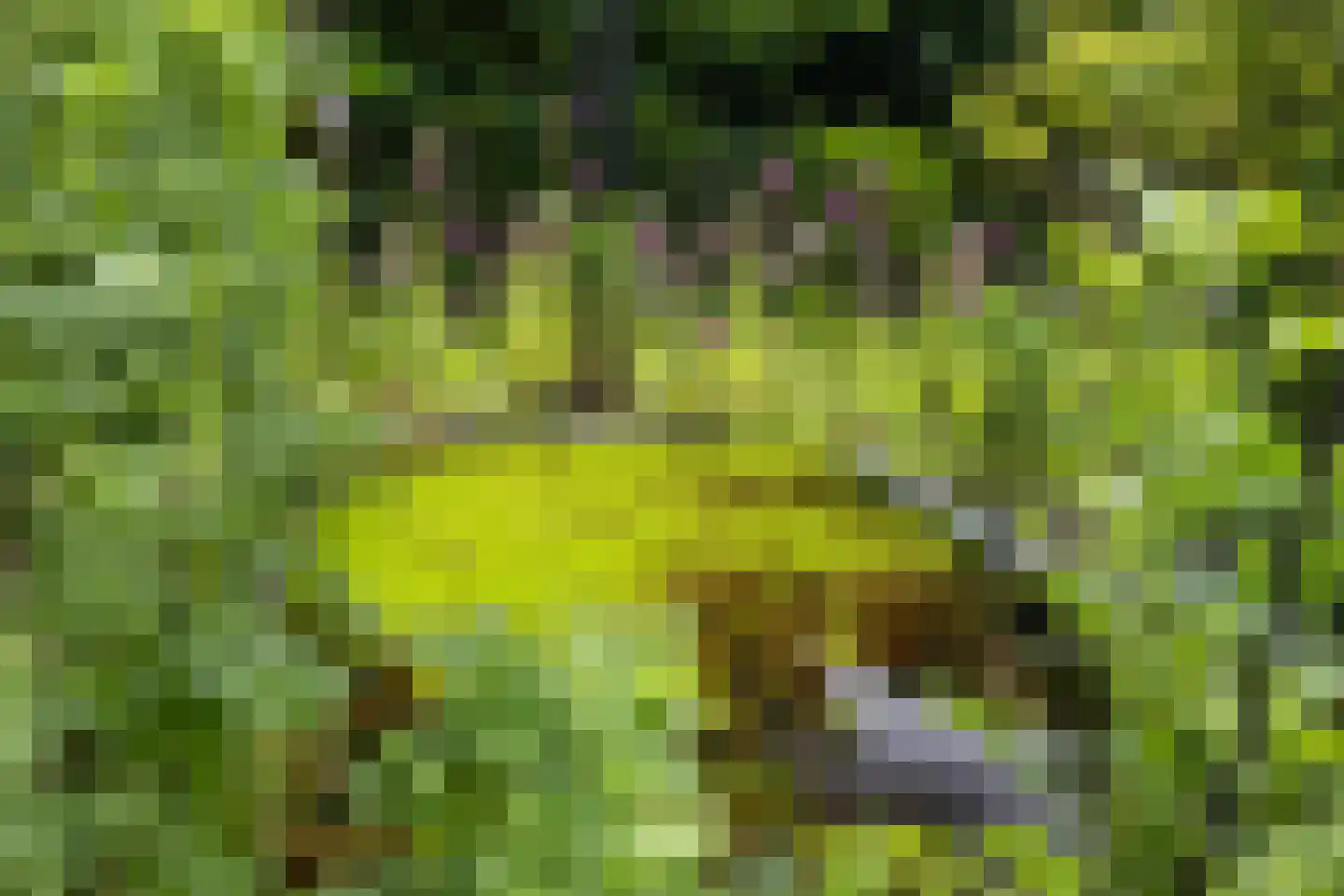 Rembrandtplein 3 Bilthoven thumbnail 37