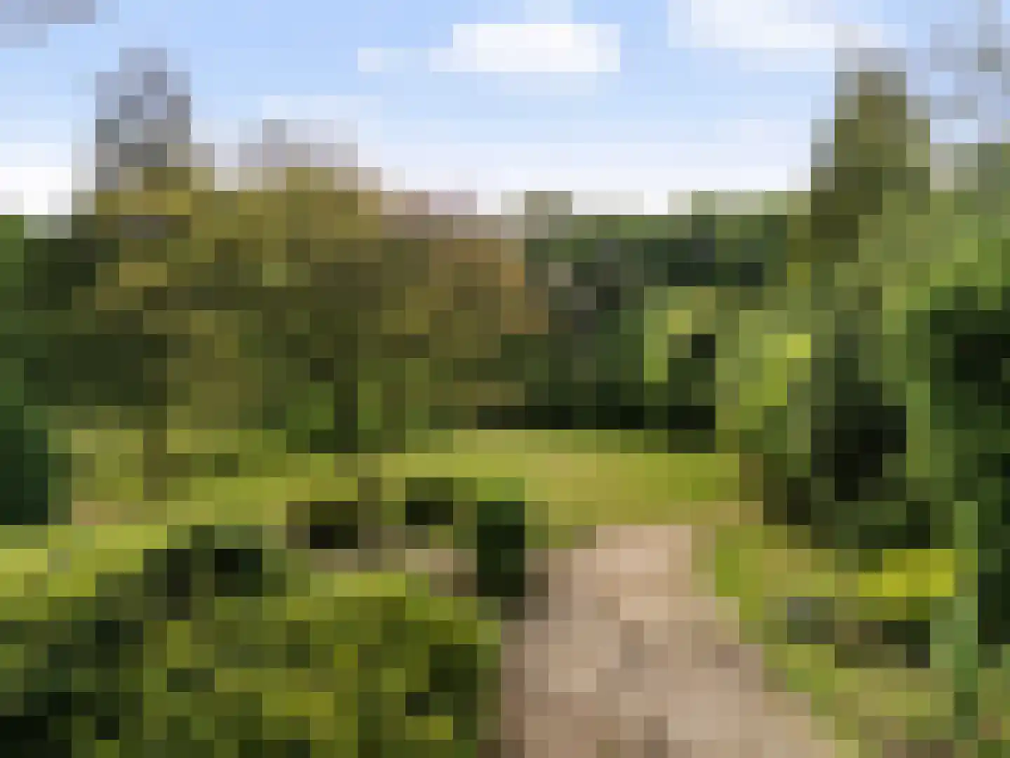Rembrandtplein 3 Bilthoven thumbnail 4
