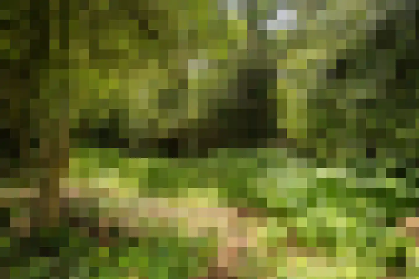 Rembrandtplein 3 Bilthoven thumbnail 43