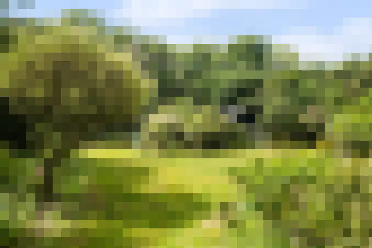 Rembrandtplein 3 Bilthoven thumbnail 45
