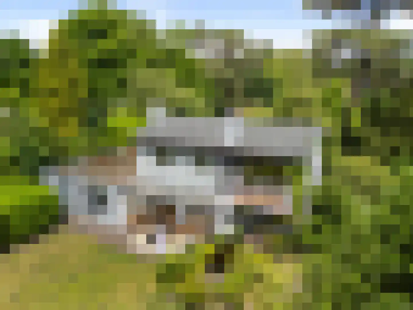 Rembrandtplein 3 Bilthoven thumbnail 46