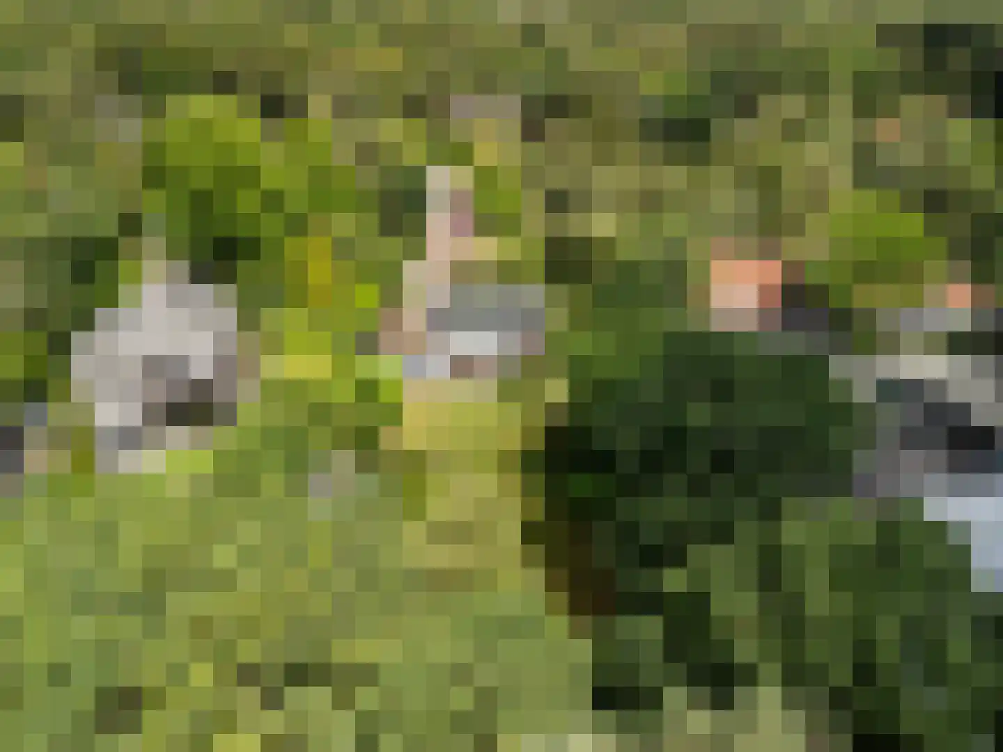 Rembrandtplein 3 Bilthoven thumbnail 51