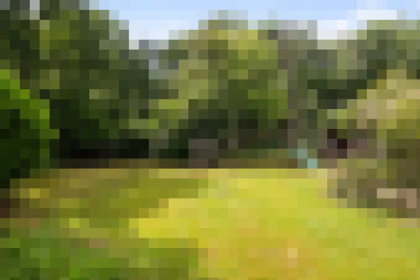 Rembrandtplein 3 Bilthoven thumbnail 7
