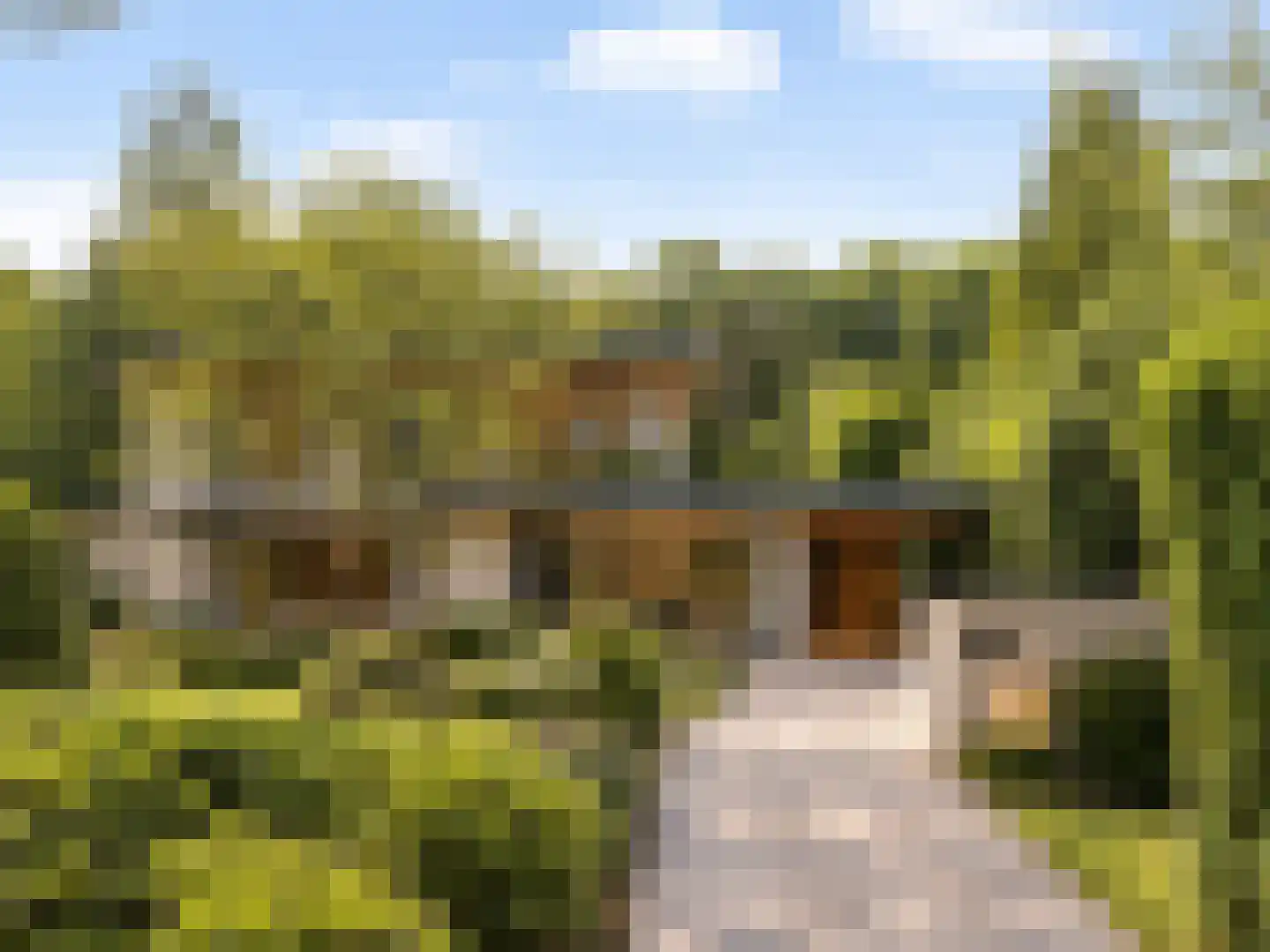 Rembrandtplein 3 Bilthoven thumbnail 7