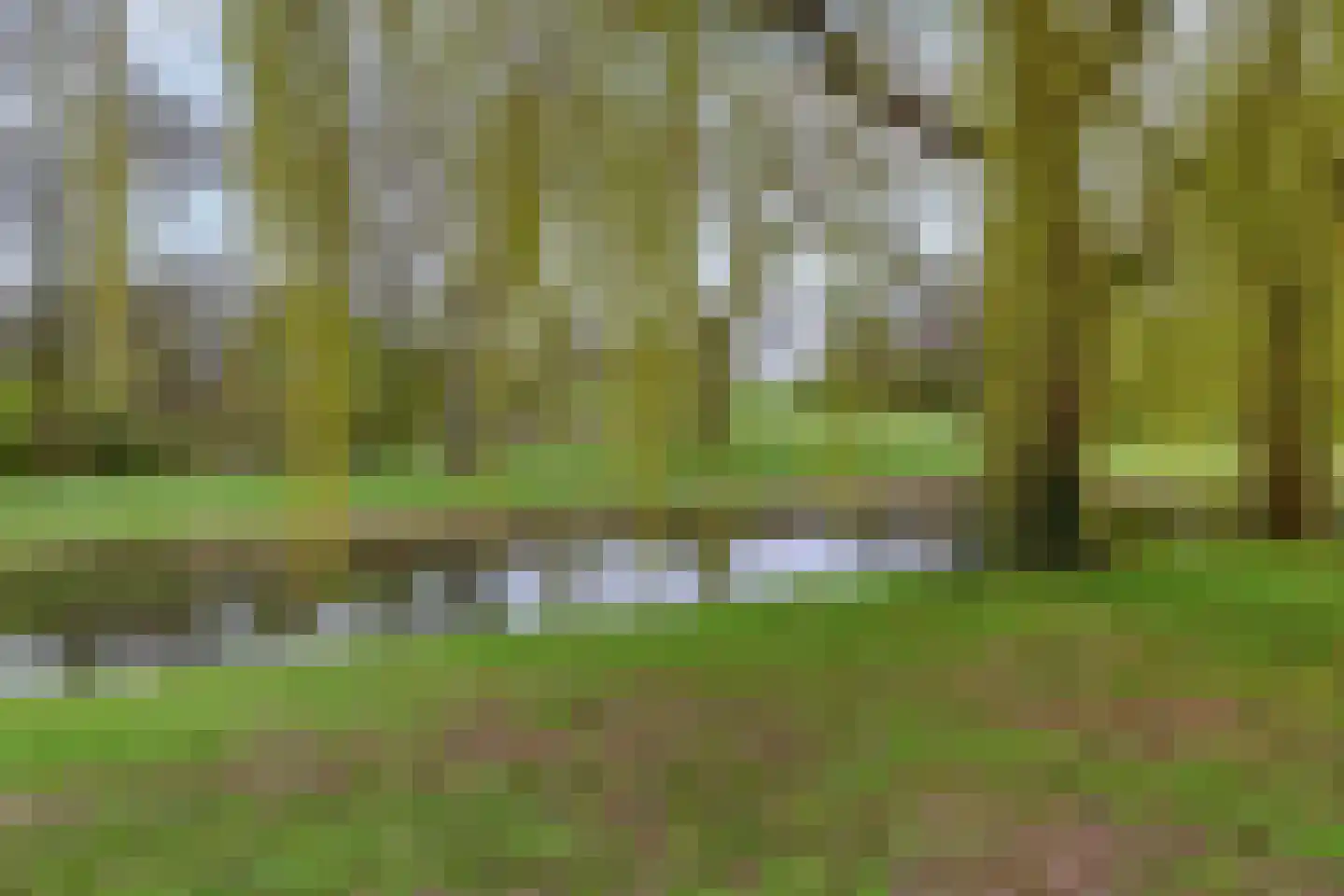 Rembrandtsingel 121 Rozenburg thumbnail 37