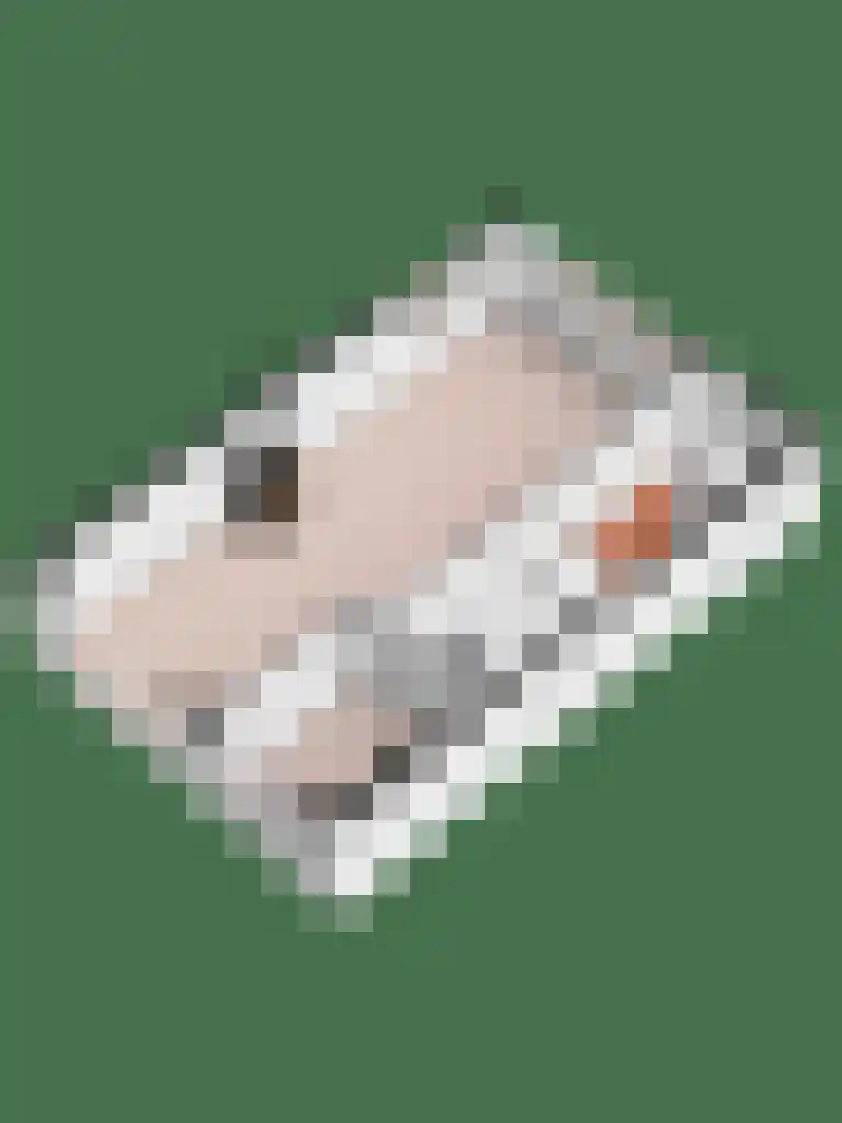 Rembrandtsingel 20 Maarssen thumbnail 46