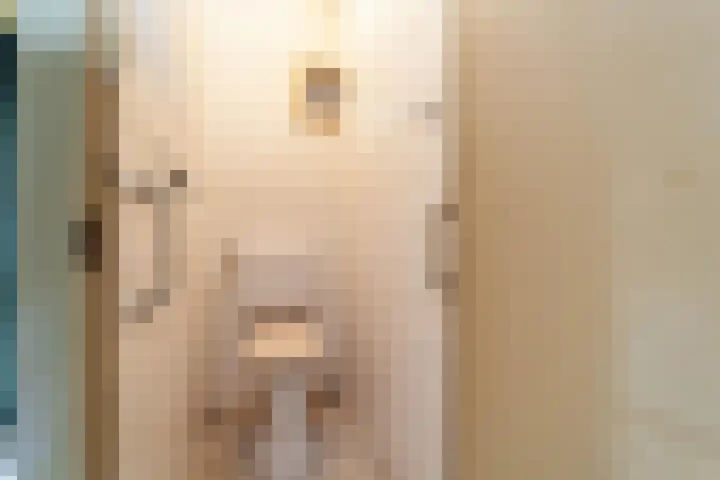 Rembrandtsingel 20 Maarssen thumbnail 7
