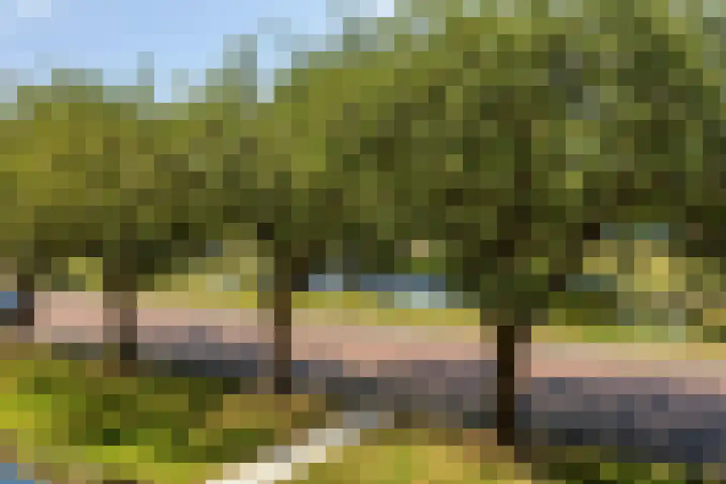 Rembrandtsingel 37 Rozenburg thumbnail 17