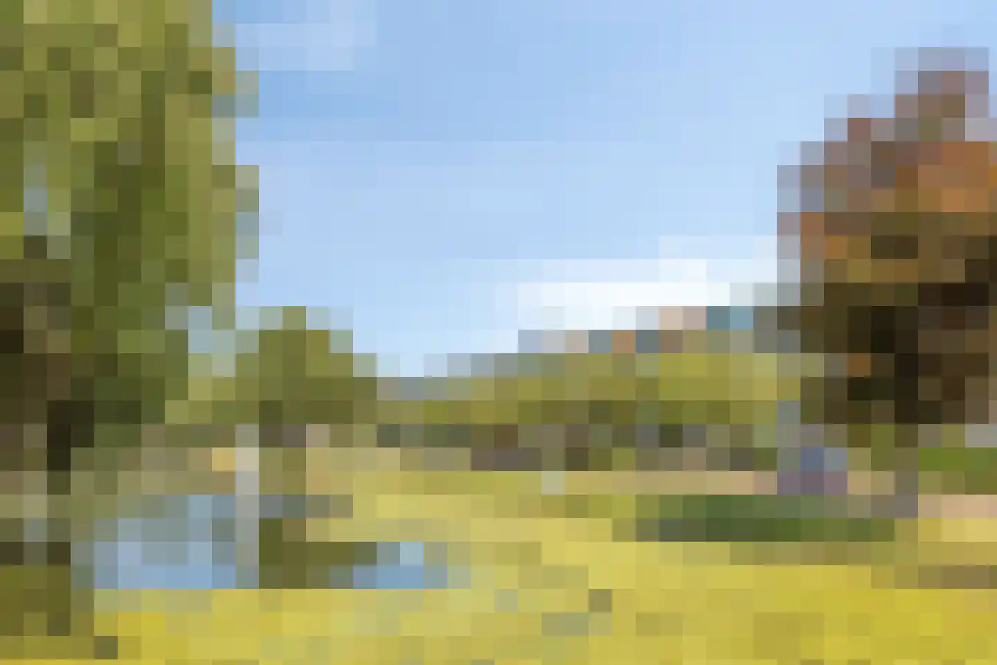 Rembrandtsingel 37 Rozenburg thumbnail 31