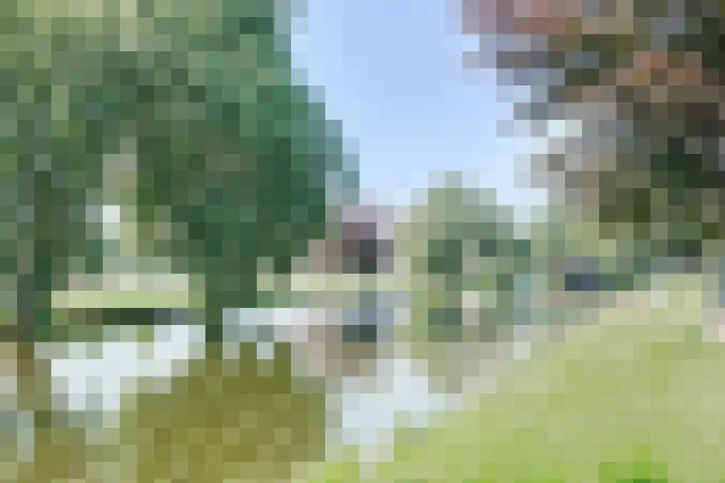 Rembrandtsingel 67 Rozenburg thumbnail 35