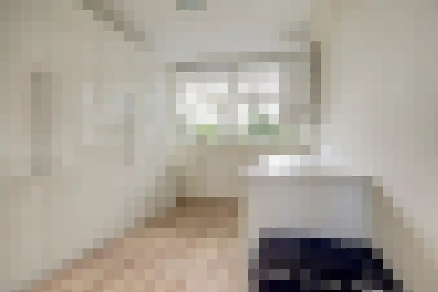 Rembrandtsingel 71 Rozenburg thumbnail 20