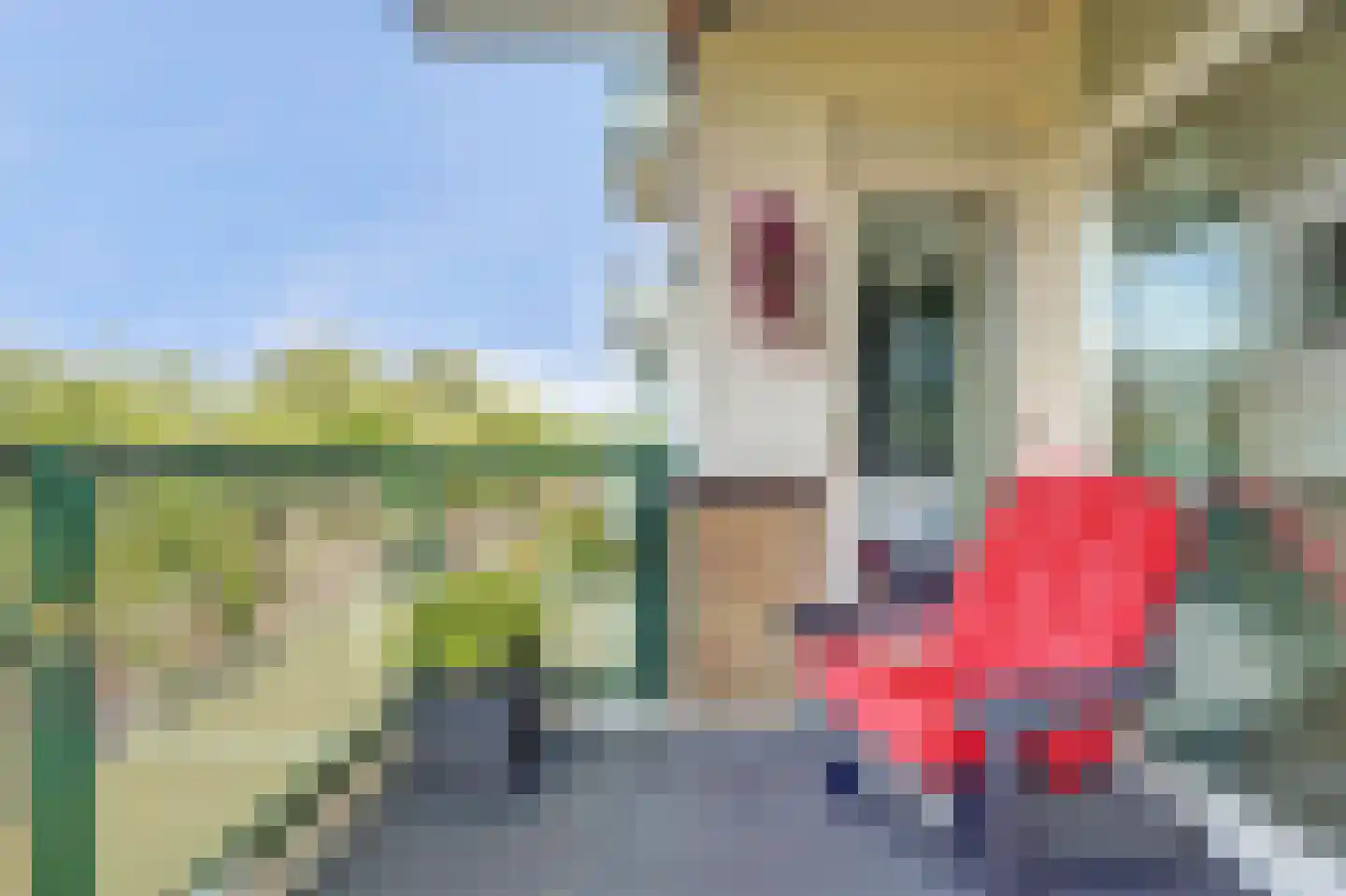 Rembrandtsingel 71 Rozenburg thumbnail 23