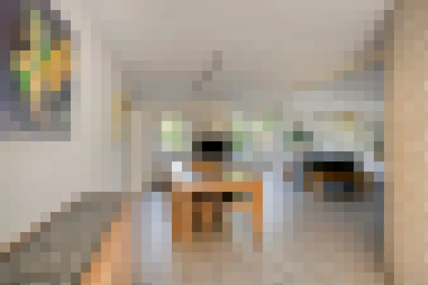 Rembrandtsplein 5 Oude Wetering thumbnail 4
