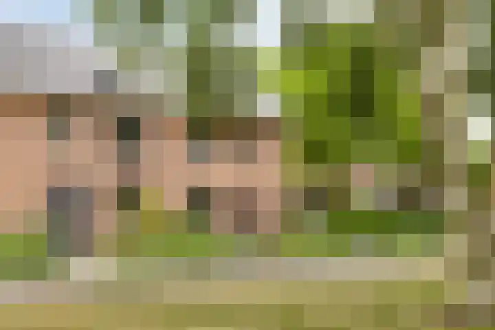 Rembrandtstraat 1 Zelhem thumbnail 7