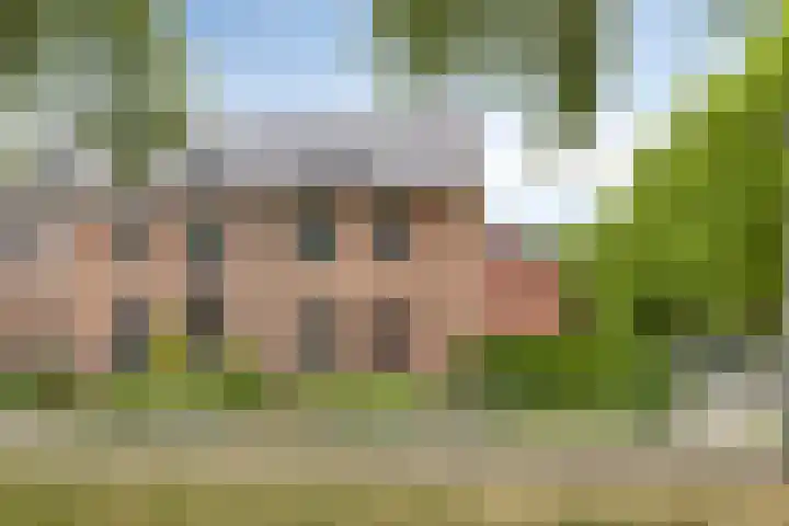 Rembrandtstraat 1 Zelhem thumbnail 8