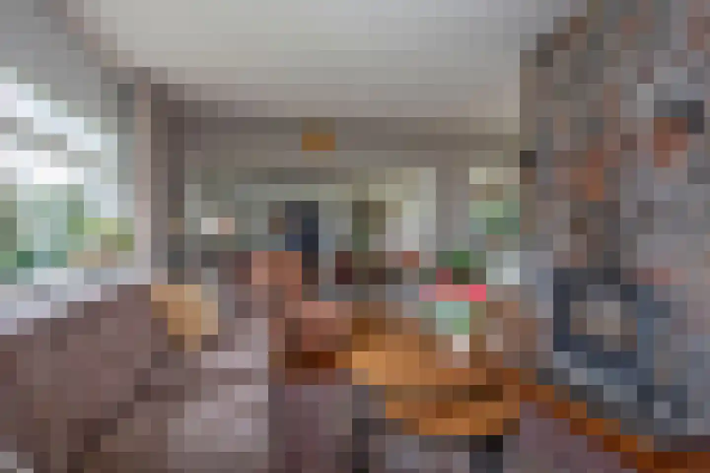 Rembrandtstraat 10 Goor thumbnail 11