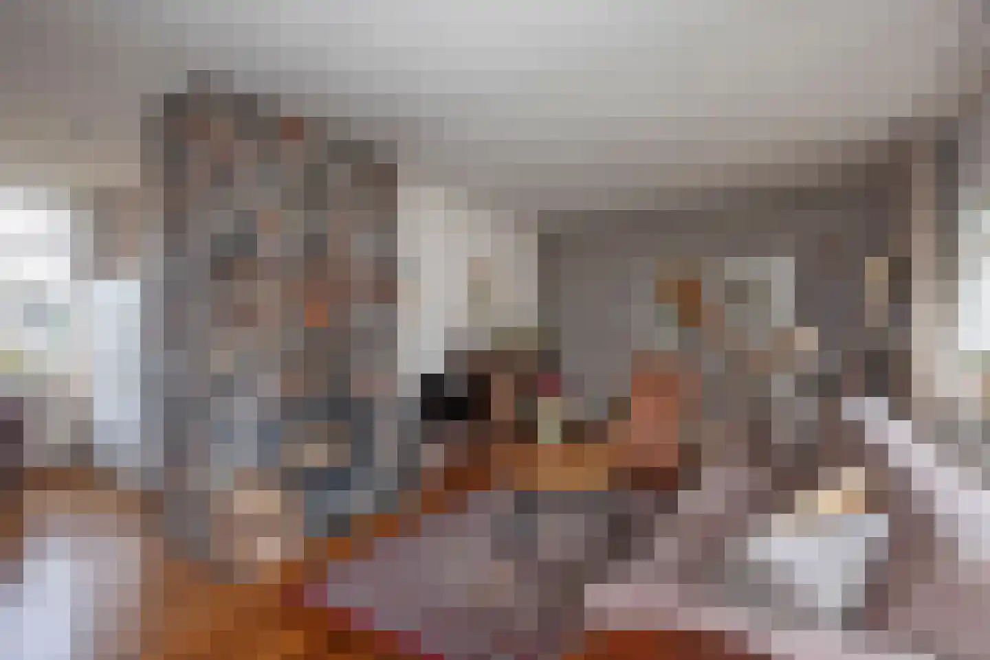 Rembrandtstraat 10 Goor thumbnail 13