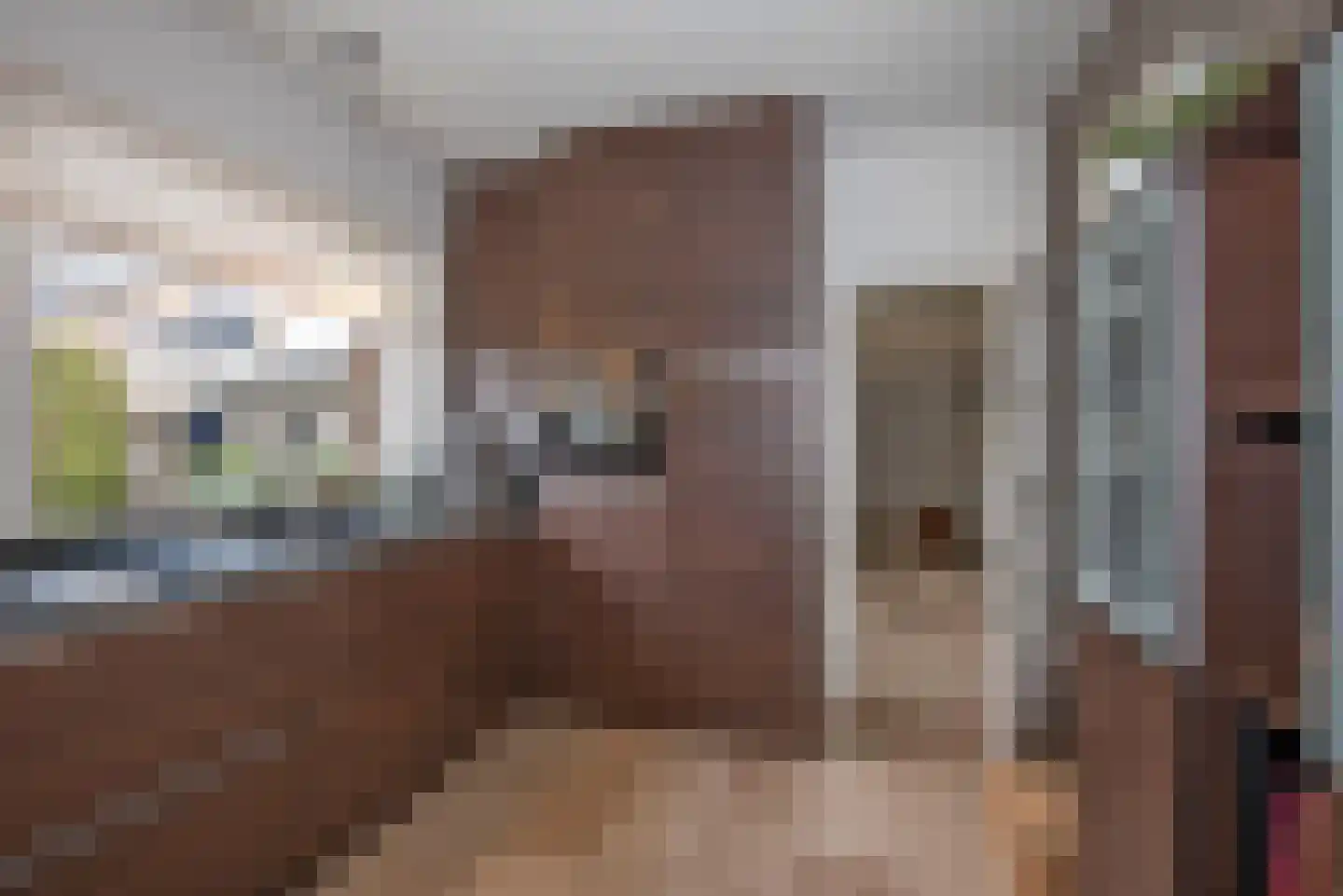 Rembrandtstraat 10 Goor thumbnail 16