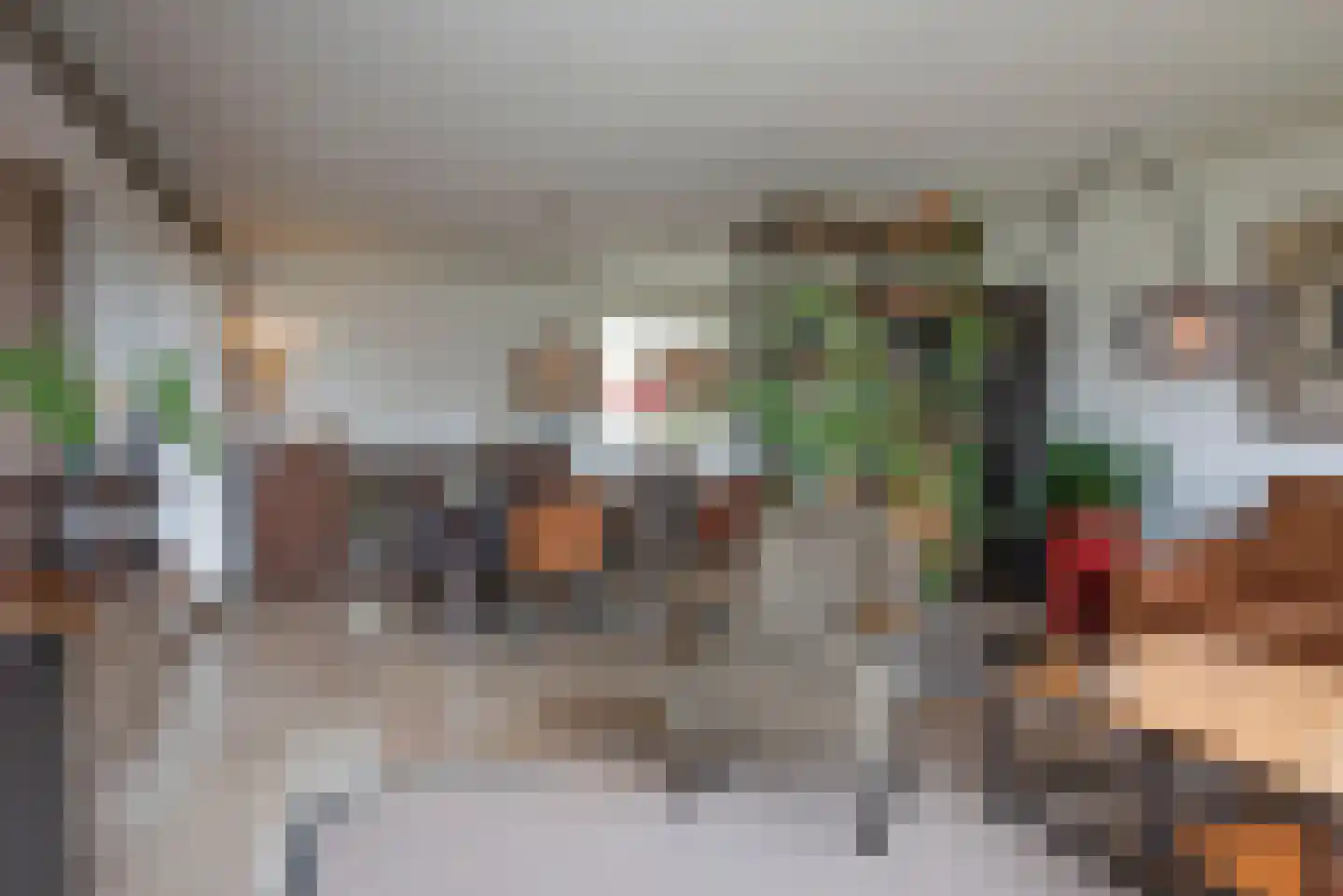 Rembrandtstraat 10 Goor thumbnail 20